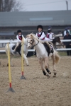 SBM_003850