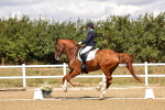 SBM_006237