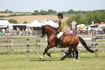 SBM_06948