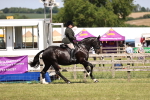 SBM_17908