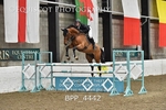BPP_4442