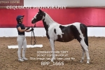 BPP_1665