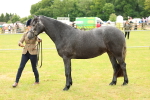 SBM_04071