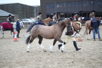 SBM_006169