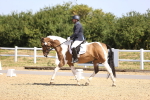 SBM_009303