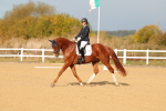SBM_009322