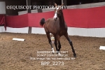 BPP_2273