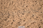231015A-093318-06745