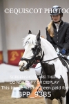 BPP_9385