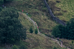 Arnison Crag-13