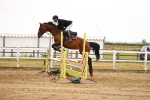 SBM_025199