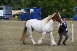WJ6_6533
