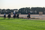 140826-Race 4-Raging Raj-1285
