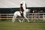 SBM_09631