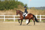 SBM_000613