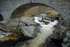 River Feshie, Highland