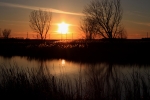 Golden Sunset