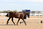 SBM_17681
