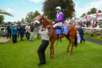 240824-Race 1-See The Fire-0392