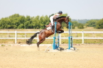 SBM_000667