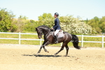 SBM_000786