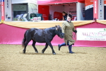 SBM_00297