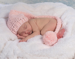 Willow 12