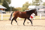 SBM_15366