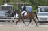 BPP_6764