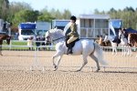 SBM_08847
