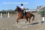 BPP_8638