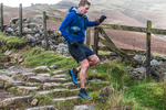 Langdale -1496