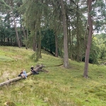 Forest of Bowland