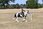 WJ6_8794