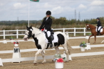 SBM_001980