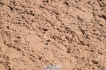 260425-143122-16099