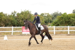 SBM_003281