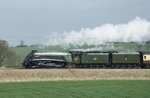 T1067