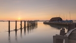 _MG_6550 3b