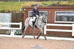 206-Kelly.Raymont-Llanthony.Erehwon portfolio