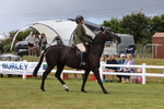 3E7A0886