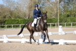 Class 17 - Novice 3 portfolio
