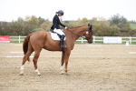 SBM_004557