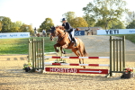 J64 - Clear Round 90cm portfolio