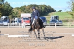 BPP_8585