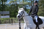 BPP_6991