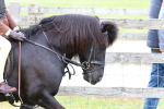 SBM_08427