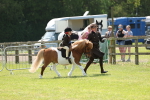 SBM_05298