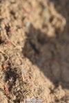 230915A-111330-00267