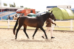 SBM_15352